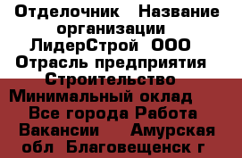 Отделочник › Название организации ­ ЛидерСтрой, ООО › Отрасль предприятия ­ Строительство › Минимальный оклад ­ 1 - Все города Работа » Вакансии   . Амурская обл.,Благовещенск г.